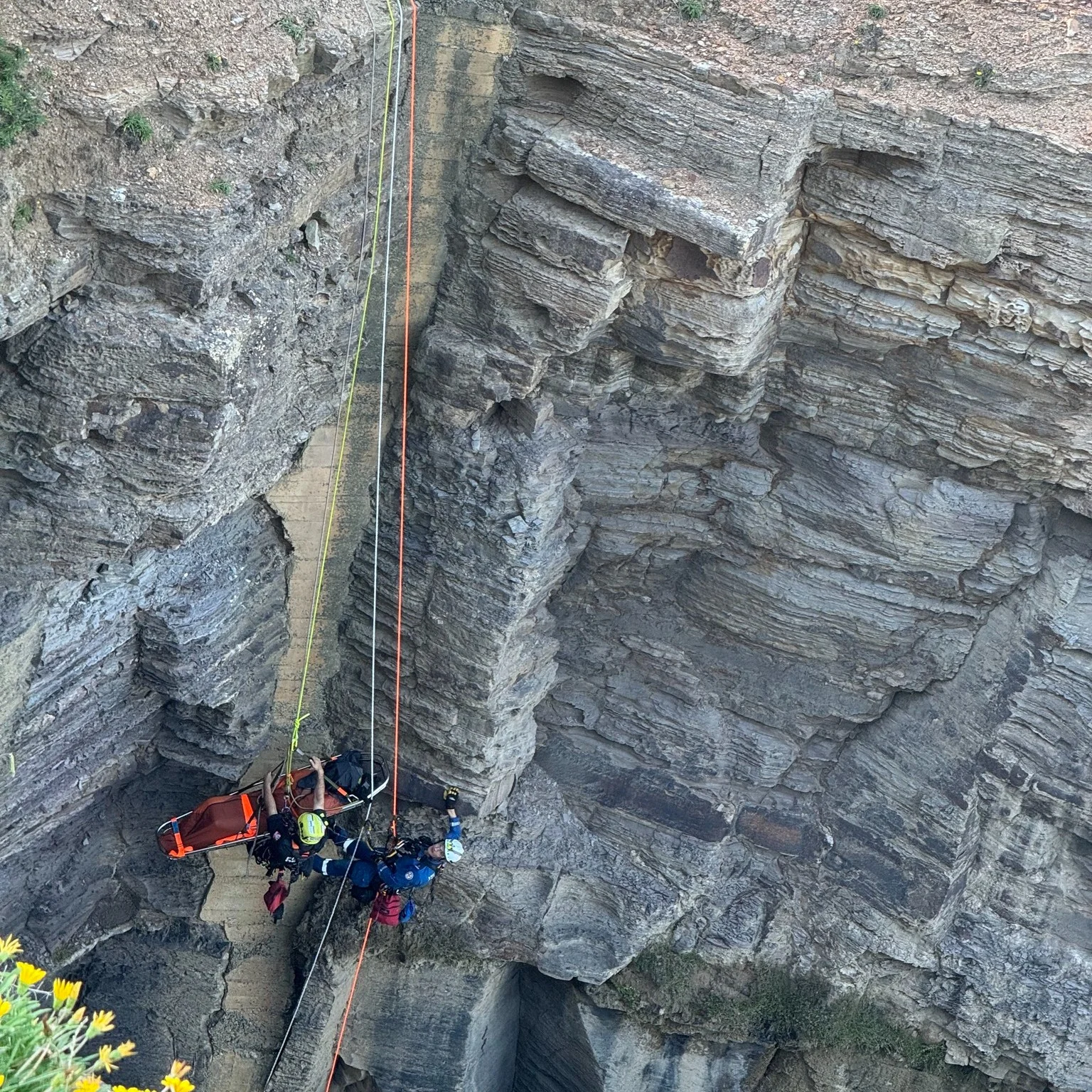 blowhole rescue