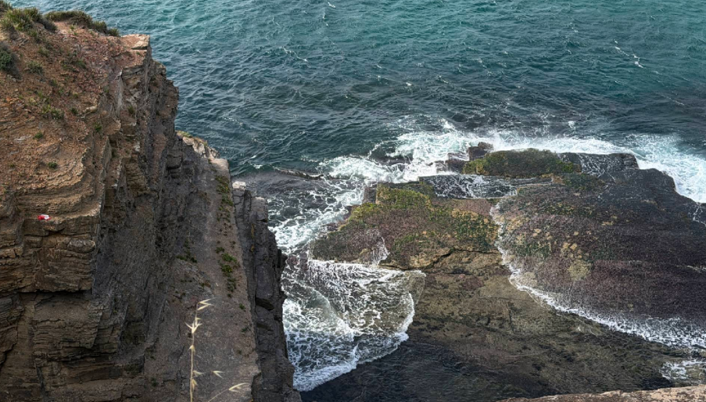 Warriewood Blowhole rescue